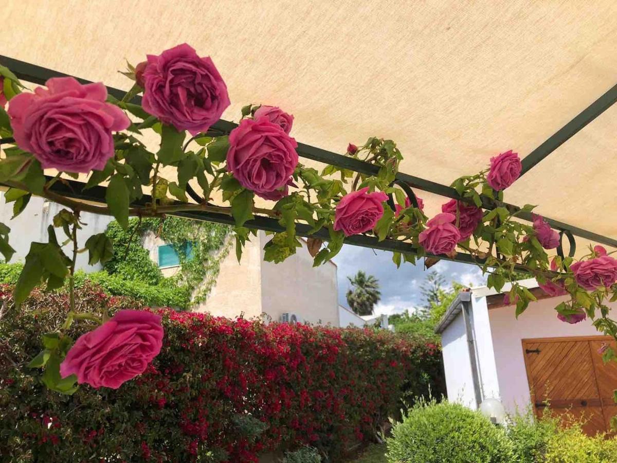 Le Tre Palme Villa Fontane Bianche Buitenkant foto