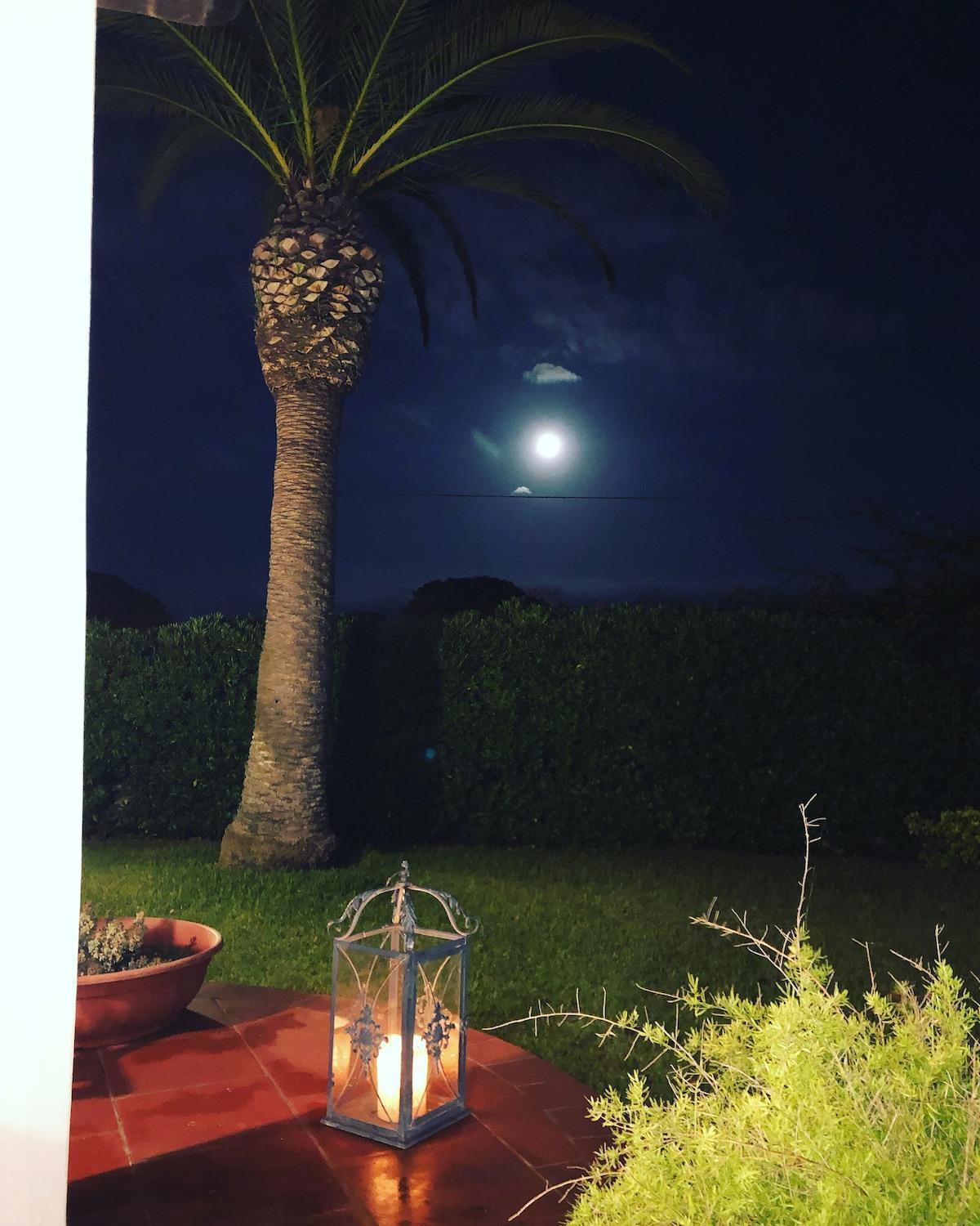 Le Tre Palme Villa Fontane Bianche Buitenkant foto